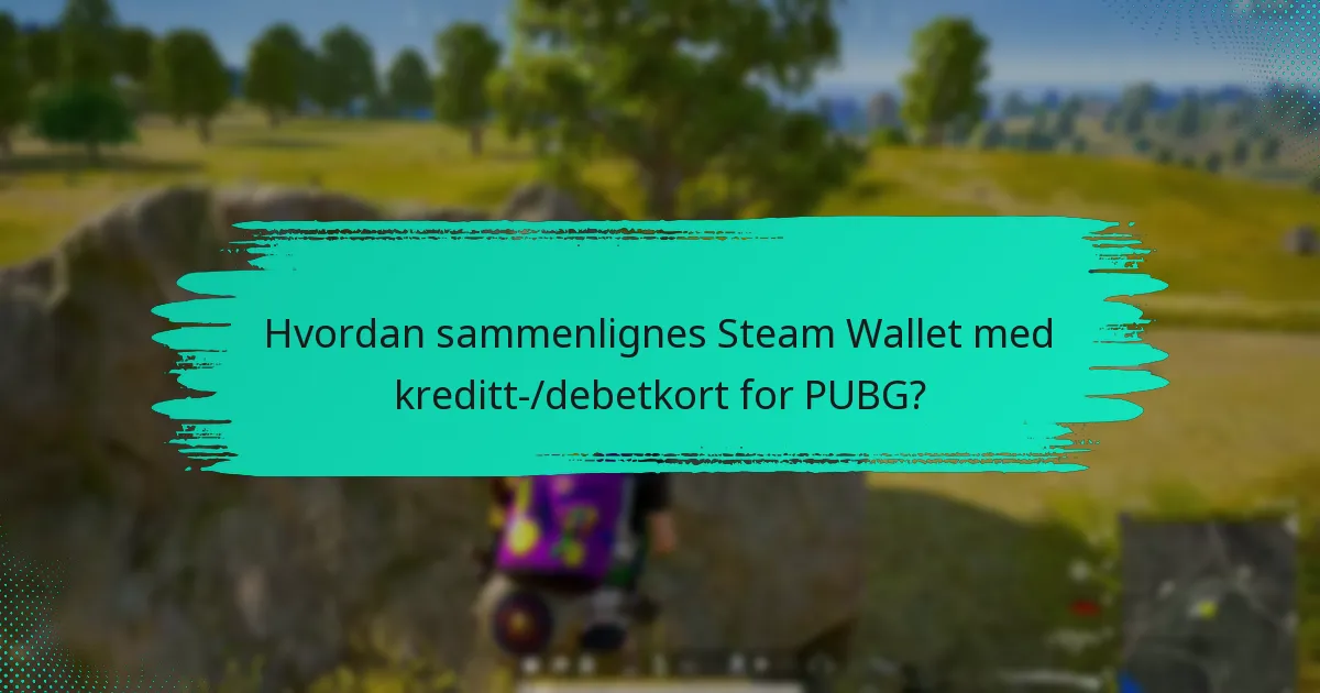 Hva er ulempene med å bruke Steam Wallet for PUBG?