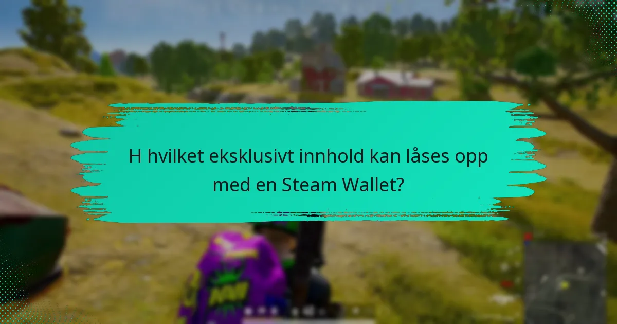 Hvordan fungerer rabatter med Steam Wallet for PUBG?