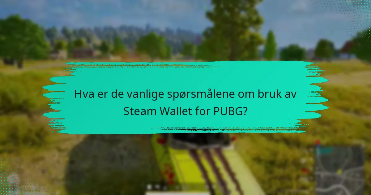 Hvordan feilsøke problemer med Steam Wallet i PUBG?