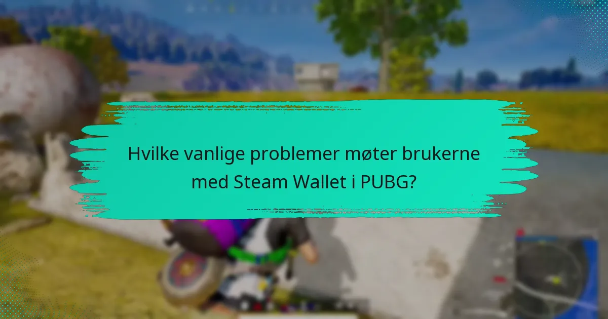 Hvilke vanlige problemer møter brukerne med Steam Wallet i PUBG?